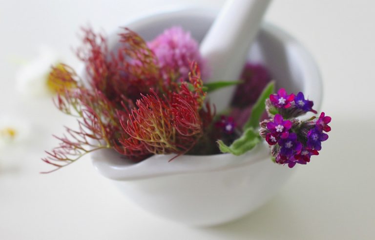 7 Nature-Powered Remedies for Glowing Skin Today!
