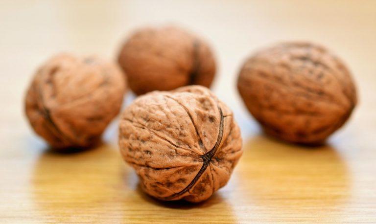 7 Organic Foods to Supercharge Your Immunity Today!