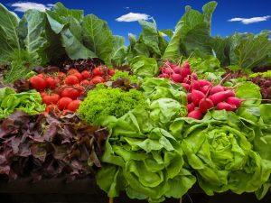 7 Powerful Detox Programs to Revitalize Your Health