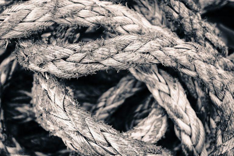 7 Proven Ways to Boost Your Erection Strength Today