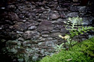 7 Proven Ways to Increase Erection Hardness Today!