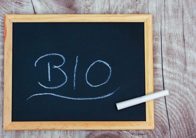 7 Quick Freelance Writing Gigs You Can Start Today