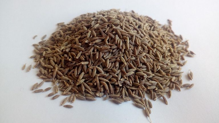 7 Reasons Cumin Slimming Tea Transforms Your Weight Loss Journey