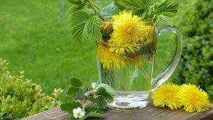 7 Reasons Dandelion Detox Tea Will Change Your Life