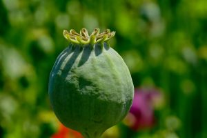 7 Reasons Exogenous Ketone Capsules Change Your Energy Game