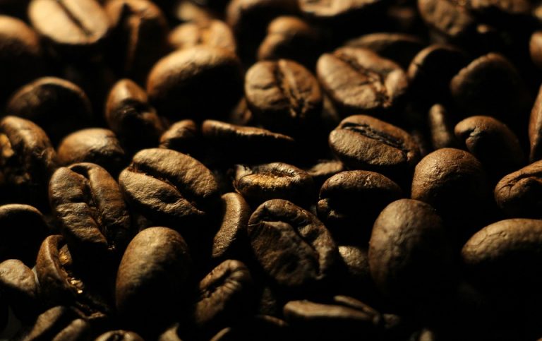 7 Reasons to Try L-Dopa Bean Supplement Today!