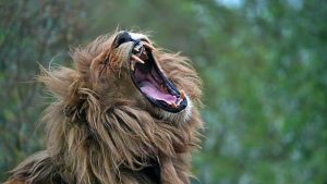 7 Secrets to Boost Erection Strength Naturally