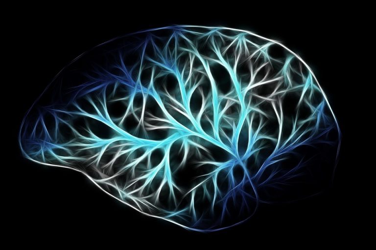 7 Secrets to Boost Your Auditory Nerve Support Today