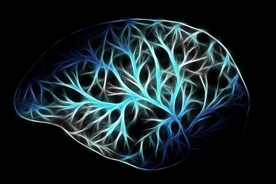 7 Secrets to Boost Your Auditory Nerve Support Today