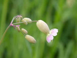 7 Secrets to Mastering Natural Bladder Control Today