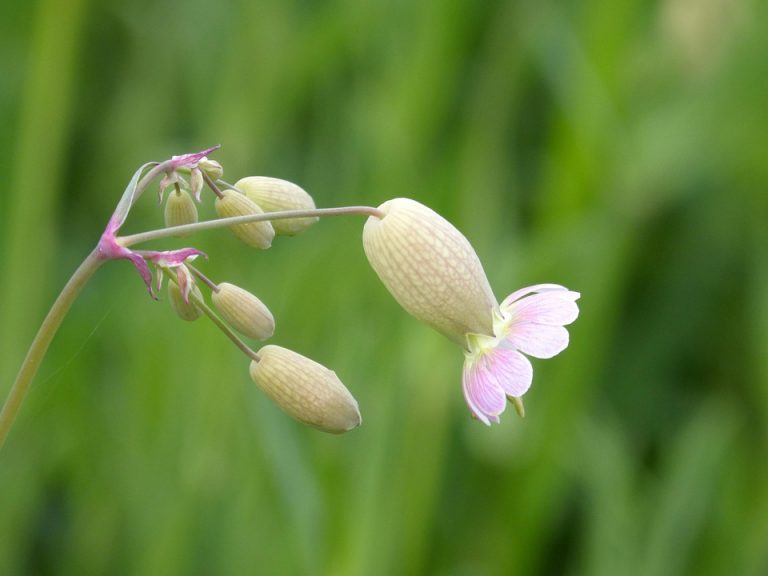 7 Secrets to Mastering Natural Bladder Control Today
