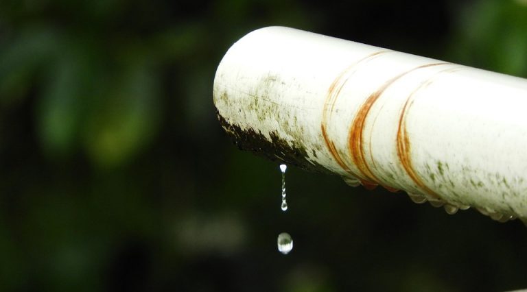 7 Secrets to Stop Bladder Leaks for Good!