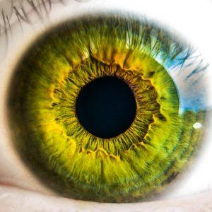 7 Simple Hacks to Boost Your Vision Clarity Today!