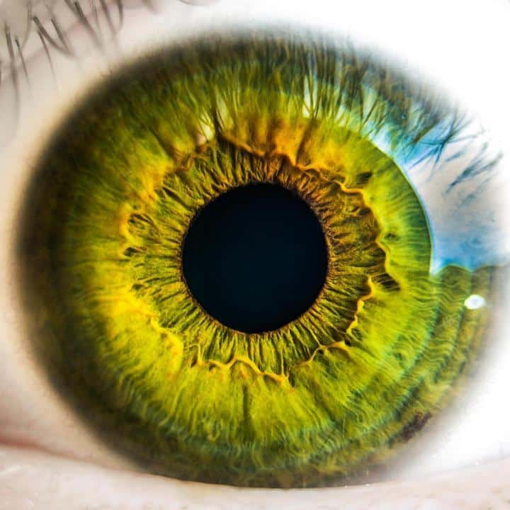 7 Simple Hacks to Boost Your Vision Clarity Today!