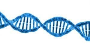 7 Surprising Benefits of D-Aspartic Acid You Need to Know