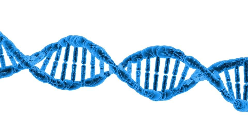 7 Surprising Benefits of D-Aspartic Acid You Need to Know
