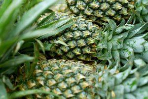 7 Surprising Benefits of Eating Organic Foods Daily
