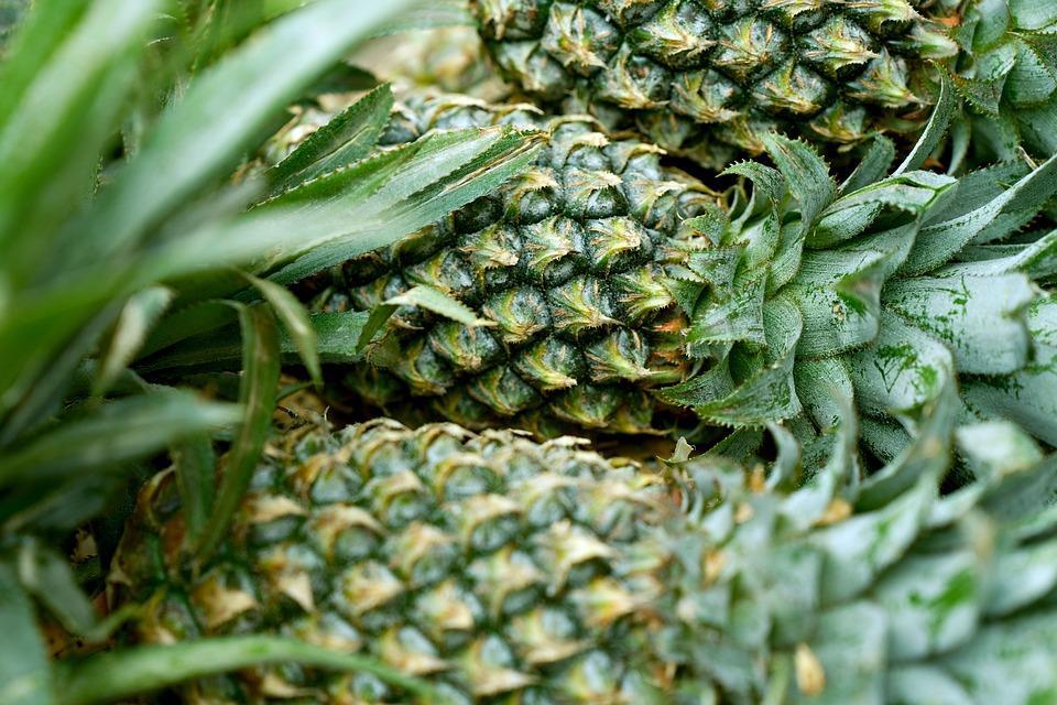 7 Surprising Benefits of Eating Organic Foods Daily