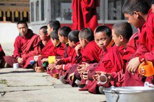 7 Surprising Benefits of Monk Fruit Tea Sweetener