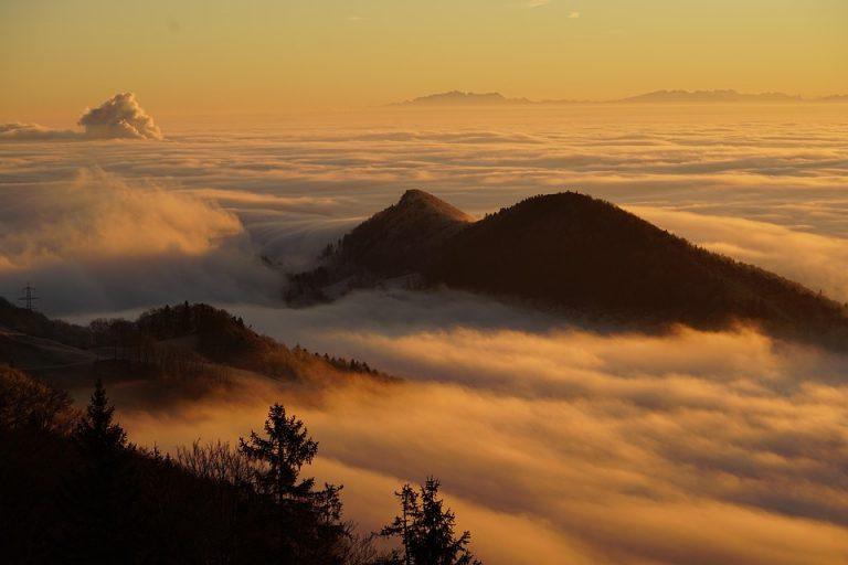 7 Surprising Causes of Brain Fog and Tinnitus