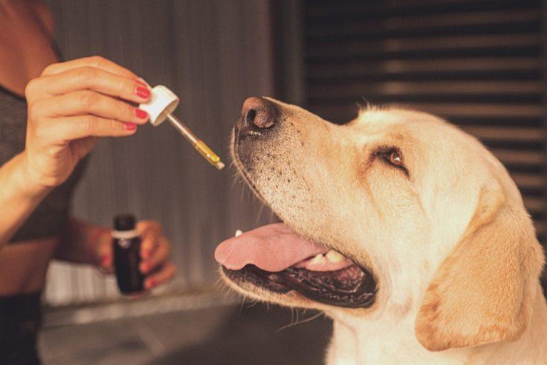 7 Top Supplements to Silence Your Ear Ringing Today