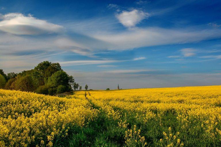 7 Ways GABA Can Transform Your Relaxation Routine